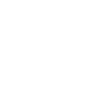 Large Enterprises (500+ employees)