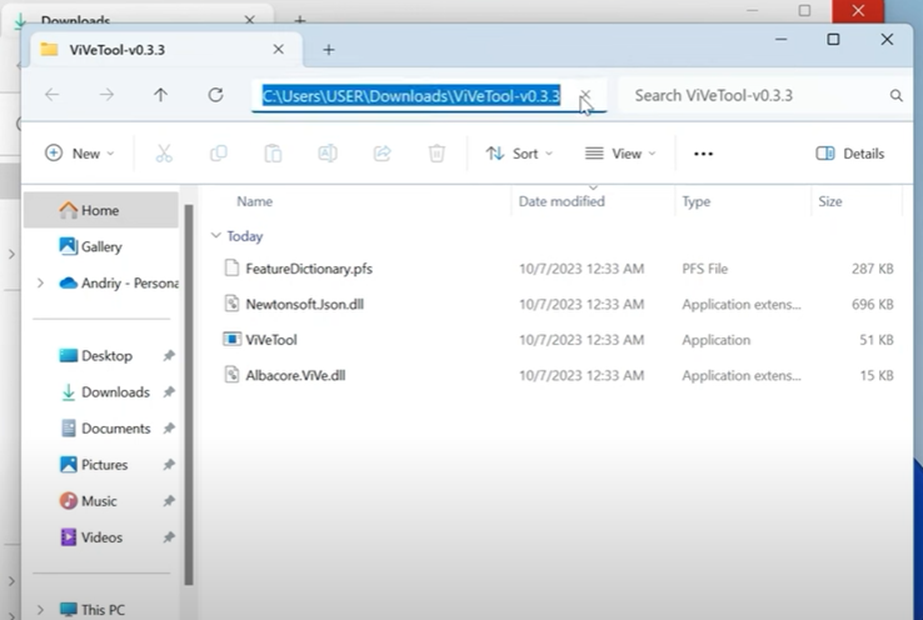 ViVeTool from GitHub Copilot - activate Microsoft Copilot - Step 4